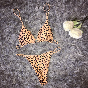 Cassy cheetah bikini